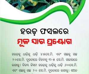 Application of basic fertilizers in hard crops