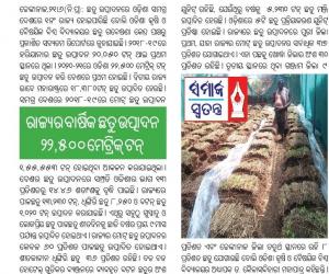 Odisha 1st in Mushroom Cultivation