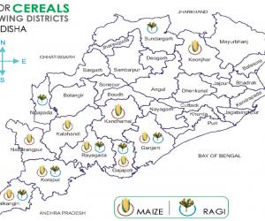 Odisha Cereals Map