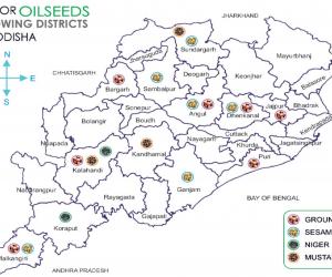 Odisha OilSeed Map