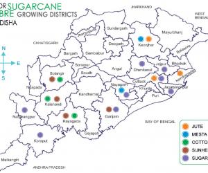 Odisha Sugarcane Map