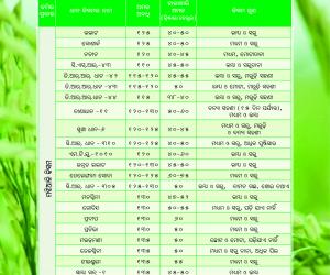 High yielding rice varieties-01