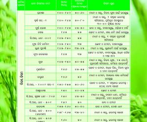 High yielding rice varieties-02