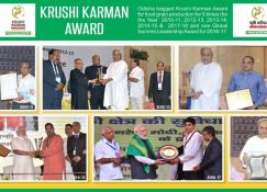 Krushi Karman Award- All