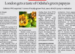 ନ୍ୟୁଜ୍ କ୍ଲିପ୍ ୫